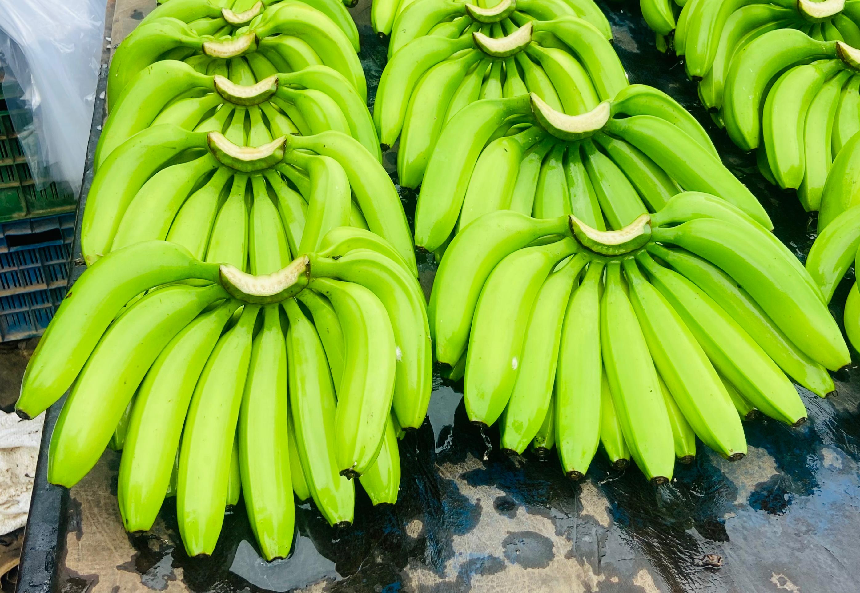 Quality Bananas